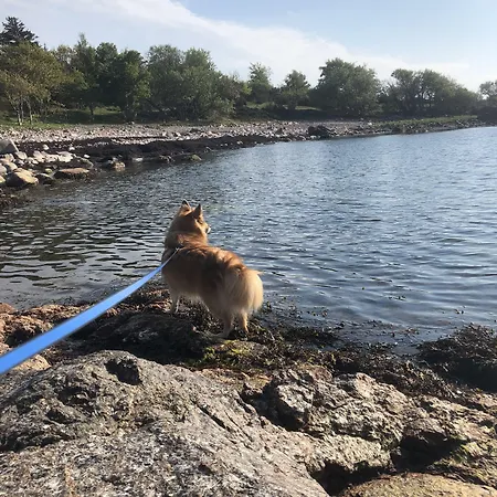 Casa de hóspedes Sandbogaard Allinge-Sandvig