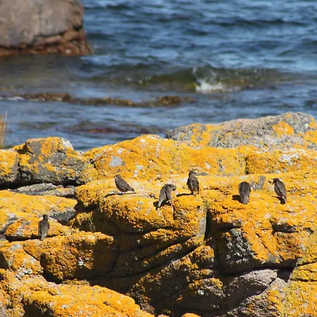 Sandbogaard Pensionat Allinge-Sandvig