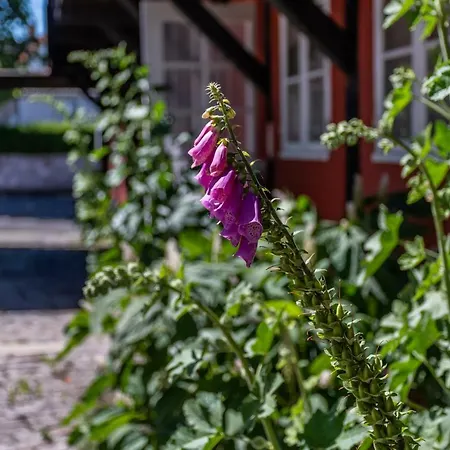 Guest house Sandbogaard 2*
