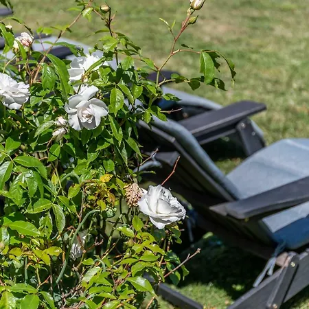 Sandbogaard בית הארחה 2*