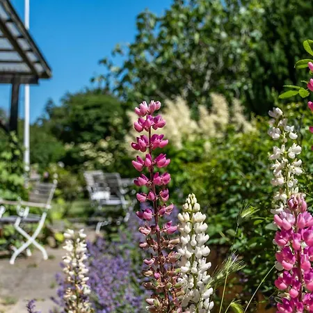 Sandbogaard Guest house Allinge-Sandvig