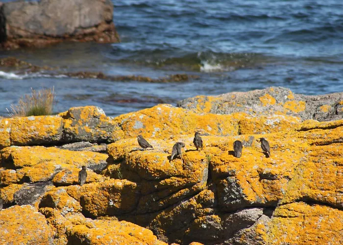 Sandbogaard Maison d'hôtes Allinge-Sandvig