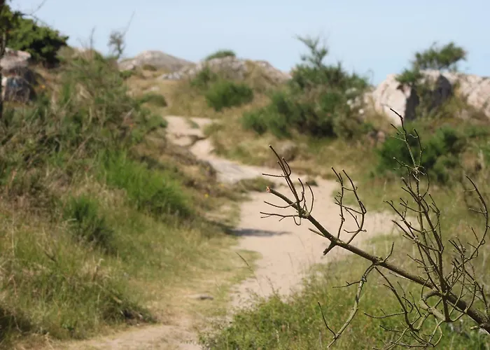 Sandbogaard Maison d'hôtes