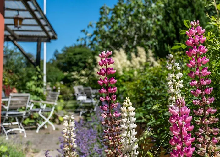 Sandbogaard Maison d'hôtes Allinge-Sandvig